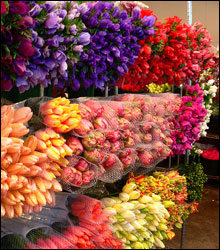 Florists