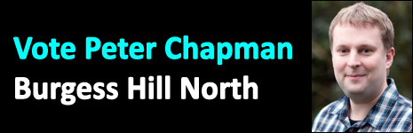 peter chapman west sussex county council elections