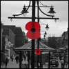 remembrance events in burgess hill