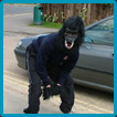 Gorilla at Oakmeeds School Burgess Hill