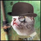 Amusing images