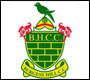 burgess hill cricket club