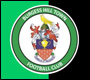 burgess hill town football club