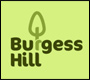 burgess hill branding logo