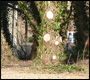 chainsaw fairfield recreation ground