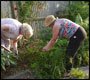 age uk cherry tree centre