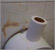 Burgess Hill Public Toilet Video