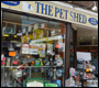 pet shed burgess hill