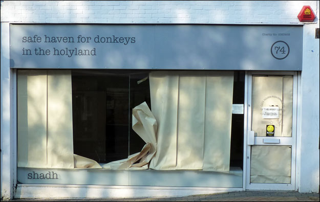 Safe haven for donkeys in the holy land Burgess Hill