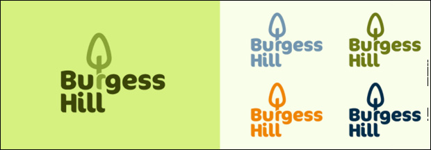 burgess hill branding logo