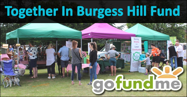 burgess hill go fund me