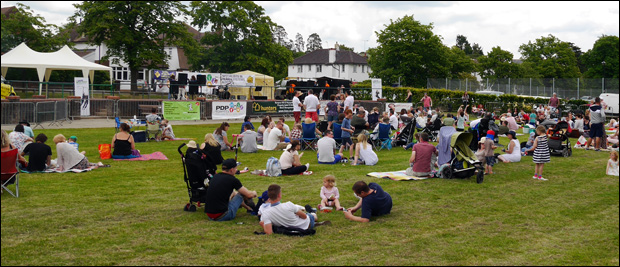 burgess hill party in the park