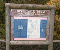 bedelands farm dead rabbits