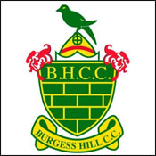 burgess hill cricket club