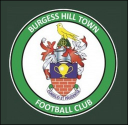 burgess hill town football club logo