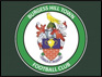 burgess hill town football club