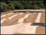 burgess hill BMX Track