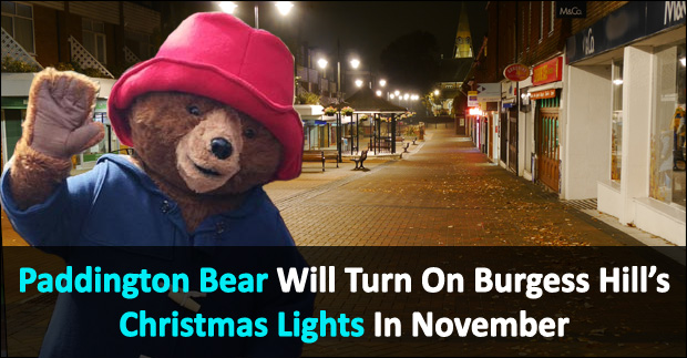paddington bear christmas lights