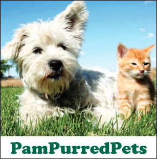 pampurredpets burgess hill