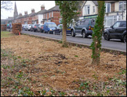 burgess hill burial ground header