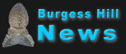 news logo