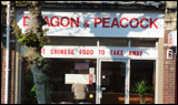 dragon and peacock