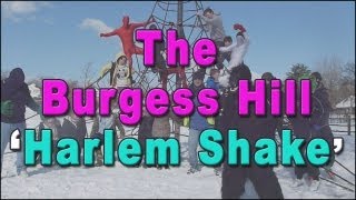 Burgess Hill Harlem Shake
