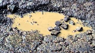 WBurgess Hill Potholes