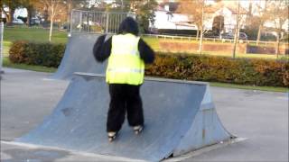 Gordon The Gorilla Skate Park